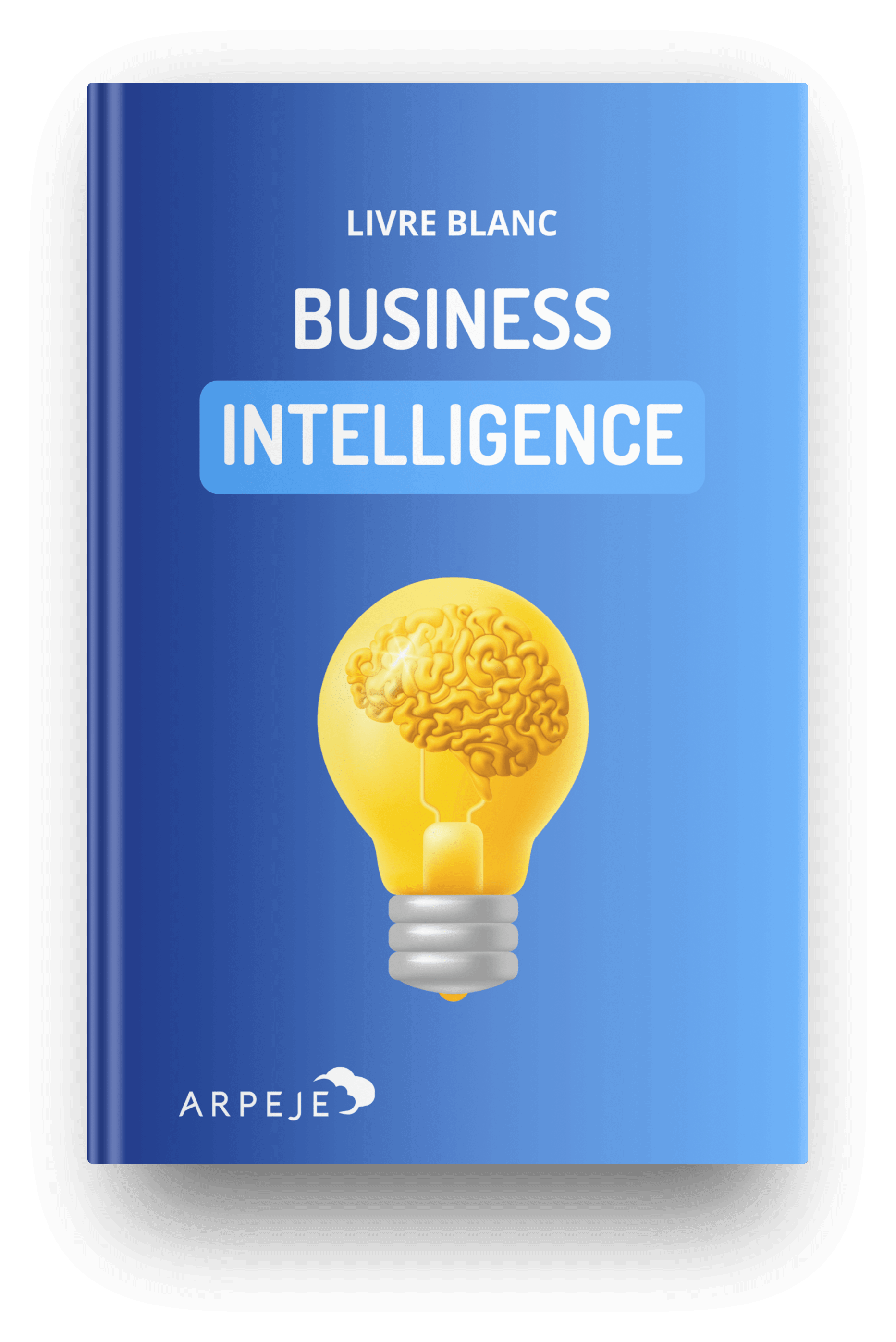 livre blanc business intelligence
